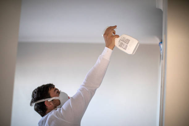 Best Mold Testing  in Pike Creek, DE