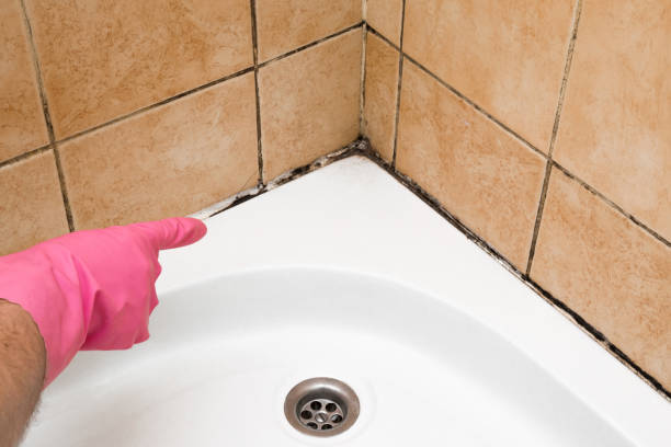 Best Attic Mold Removal  in Pike Creek, DE